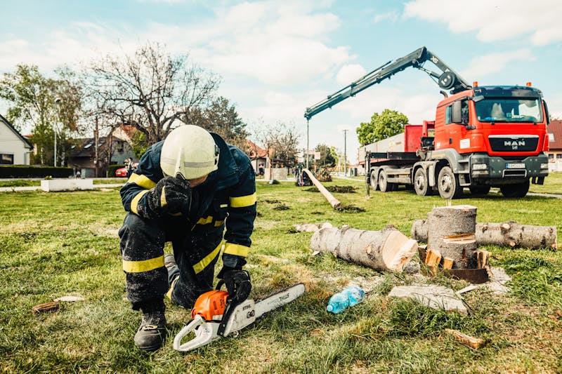 Dessouchage mécanique après abattage d'un arbre dans un jardin à Bruz