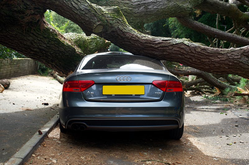 Voiture écrasée par un arbre tombé lors d'une tempête à Rennes
